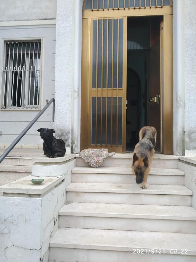 Frühstückspension Chez Martha Verona